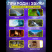 Генератор белого шума со звуками природы аккумуляторный 3в1+bluetooth колонка+rgb ночник S660Pro 