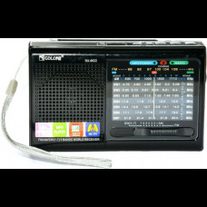 Радіоприймач колонка з FM FM MicroSD Golon RX-6622 на акумуляторі Чорний