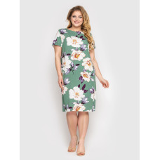 Сукня Іден фісташка Сукня Іден фісташка
